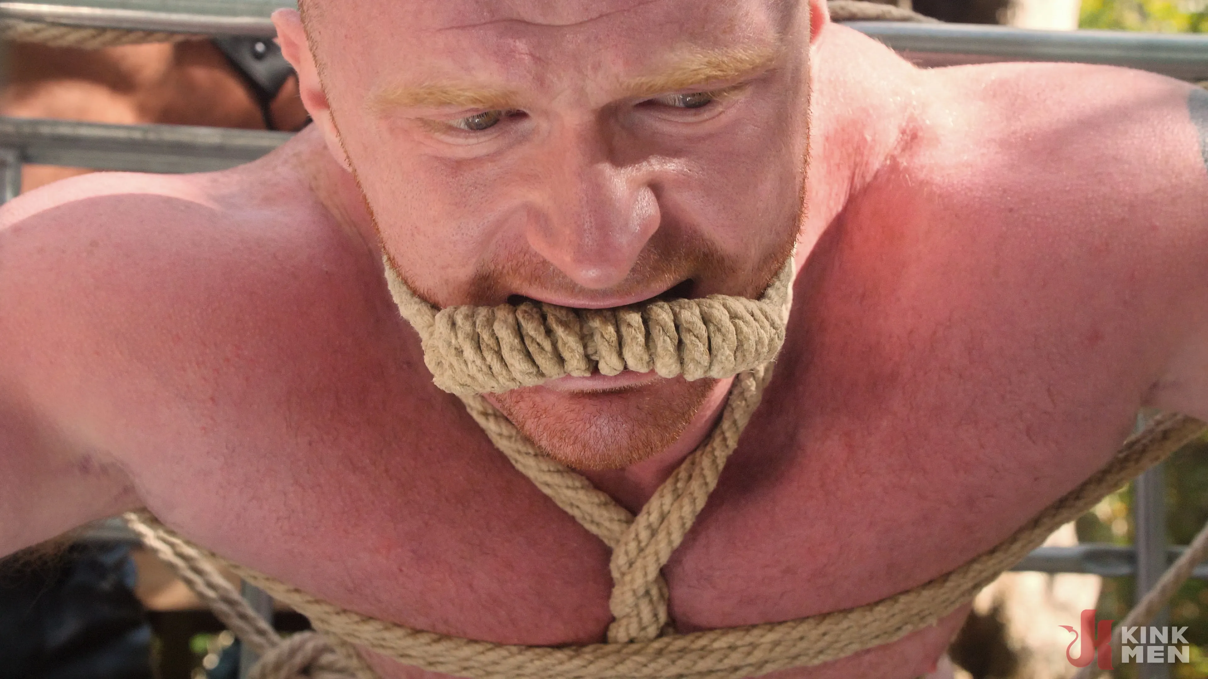 Brody Fox - The Adventure of Brody Fox: Part Six, Black Mountain | Picture (11)