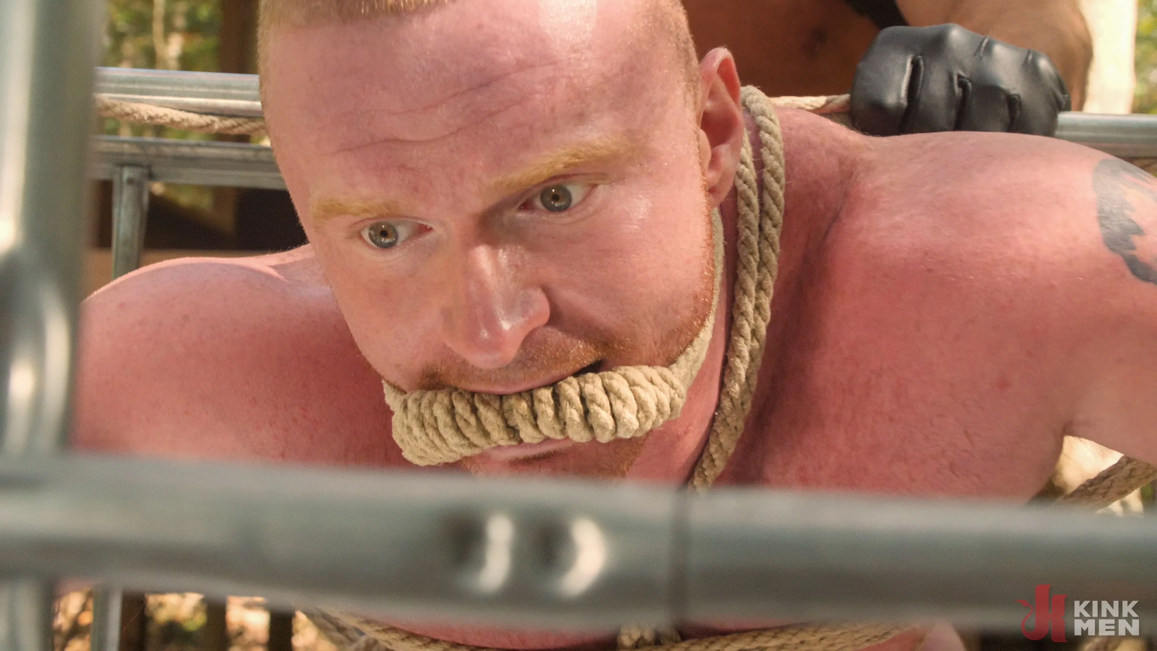 Brody Fox - The Adventure of Brody Fox: Part Six, Black Mountain | Picture (16)