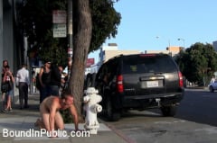 Cody Allen - Cody Allen - Naked, Tied up, Zippered, Humiliated in Public | Picture (15)