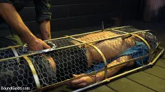 Joseph Banks - Caged: Max Ferro Locks Up And Abuses Joseph Banks | Picture (5)