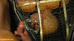 Joseph Banks - Caged: Max Ferro Locks Up And Abuses Joseph Banks | Picture (21)
