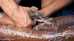 Mason Lear - Mason Lear and August Alexander: Thief Tormented and Fucked Raw | Picture (7)