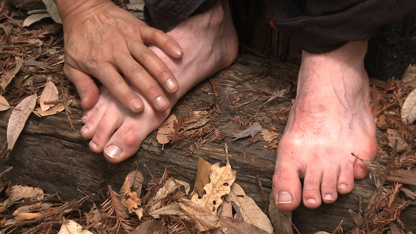 Bi stud bound and edged in the forrest