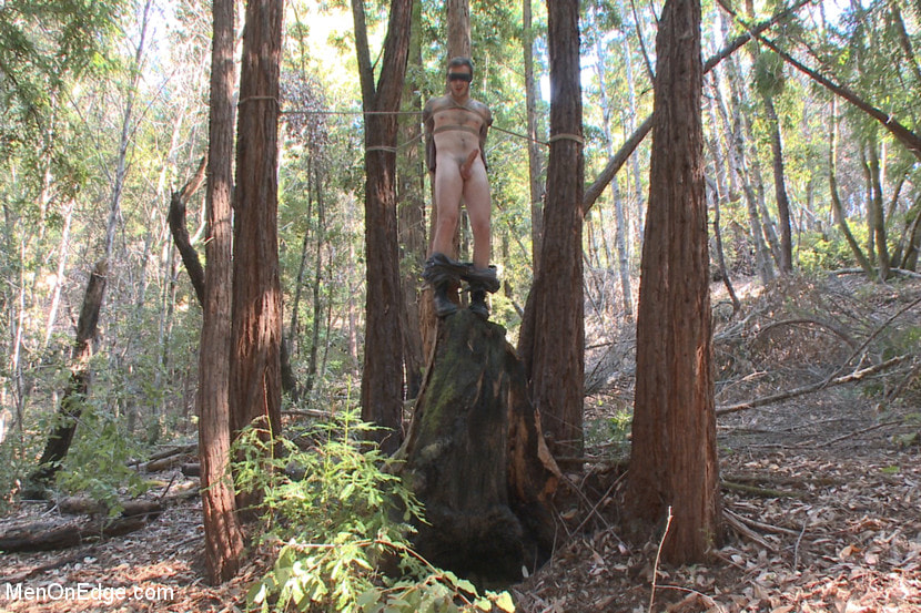 Bound Christian Wilde begs to cum in the woods