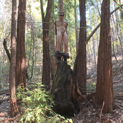 Bound Christian Wilde begs to cum in the woods