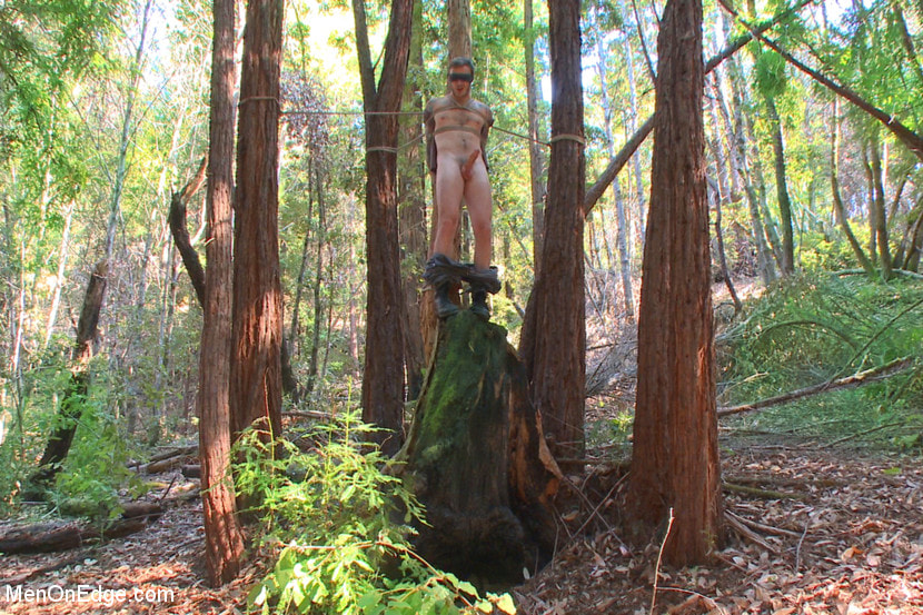Bound Christian Wilde begs to cum in the woods
