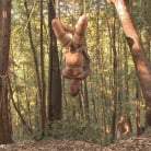 Christian Wilde in 'Bound Christian Wilde begs to cum in the woods'