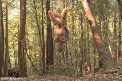 Christian Wilde - Bound Christian Wilde begs to cum in the woods | Picture (16)