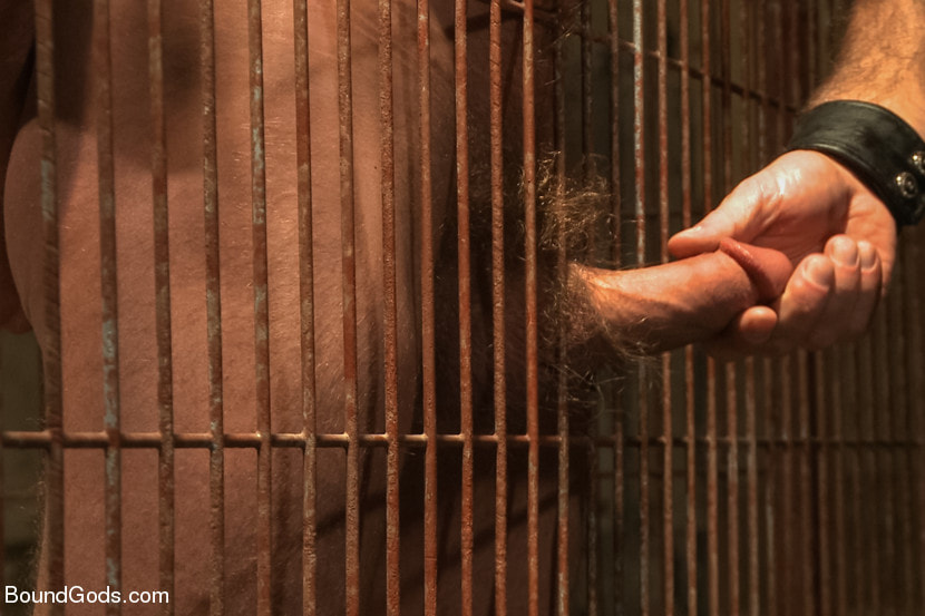 Caged and fucked like an animal