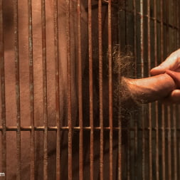 Caged and fucked like an animal
