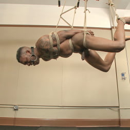 Big cock stud gets edged in the gym