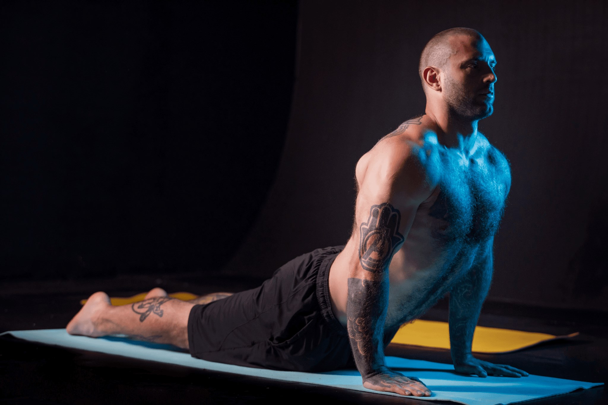 The trainer scene 2 part 2