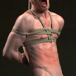 Mr Herst torments and fucks slave 860 locked in chastity
