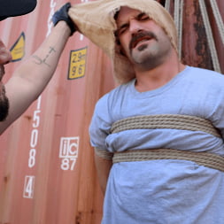 Spider Caught a Fly: Derek Allen and Adam Wirthmore