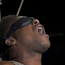 Adrian Hart Gets His Monster Cock Sucked, Stroked and Drained