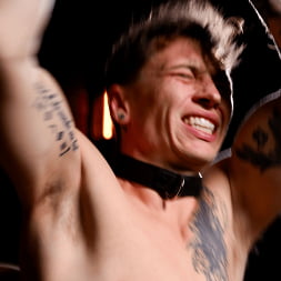 Sex and Torment: Roman Todd and Aiden Langston