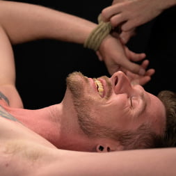 Alex Killian: Tied and Edged