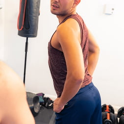 The trainer scene 3 part 3