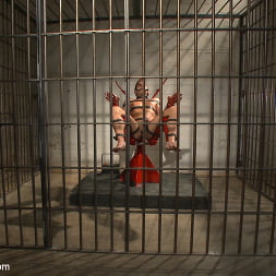 Alexander Gustavo edged in prison by two perverts