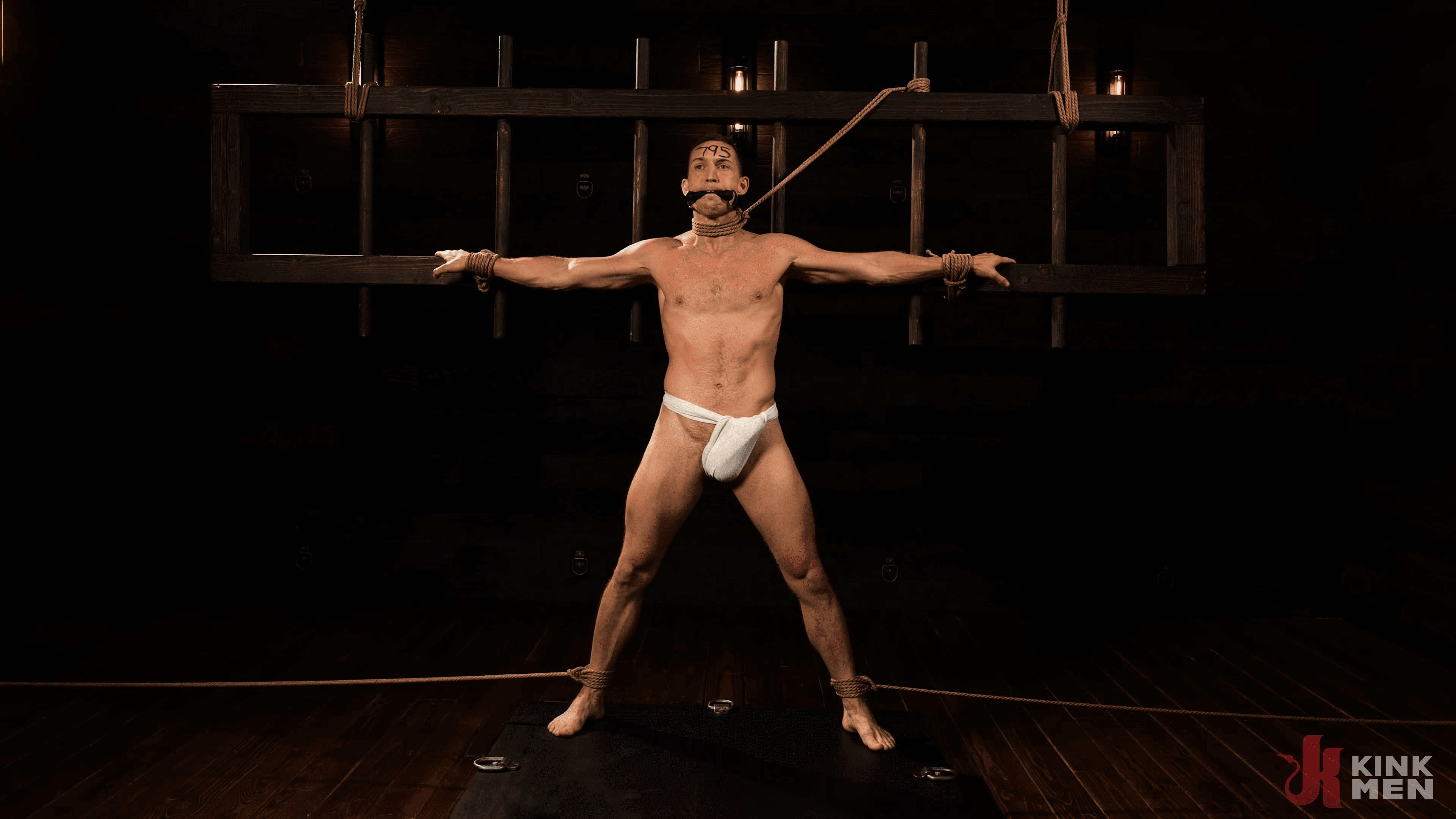 Master Alpha Wolf:New Dom To The Compound