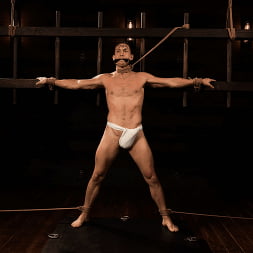 Master Alpha Wolf:New Dom To The Compound