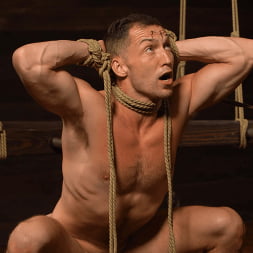 Master Alpha Wolf:New Dom To The Compound