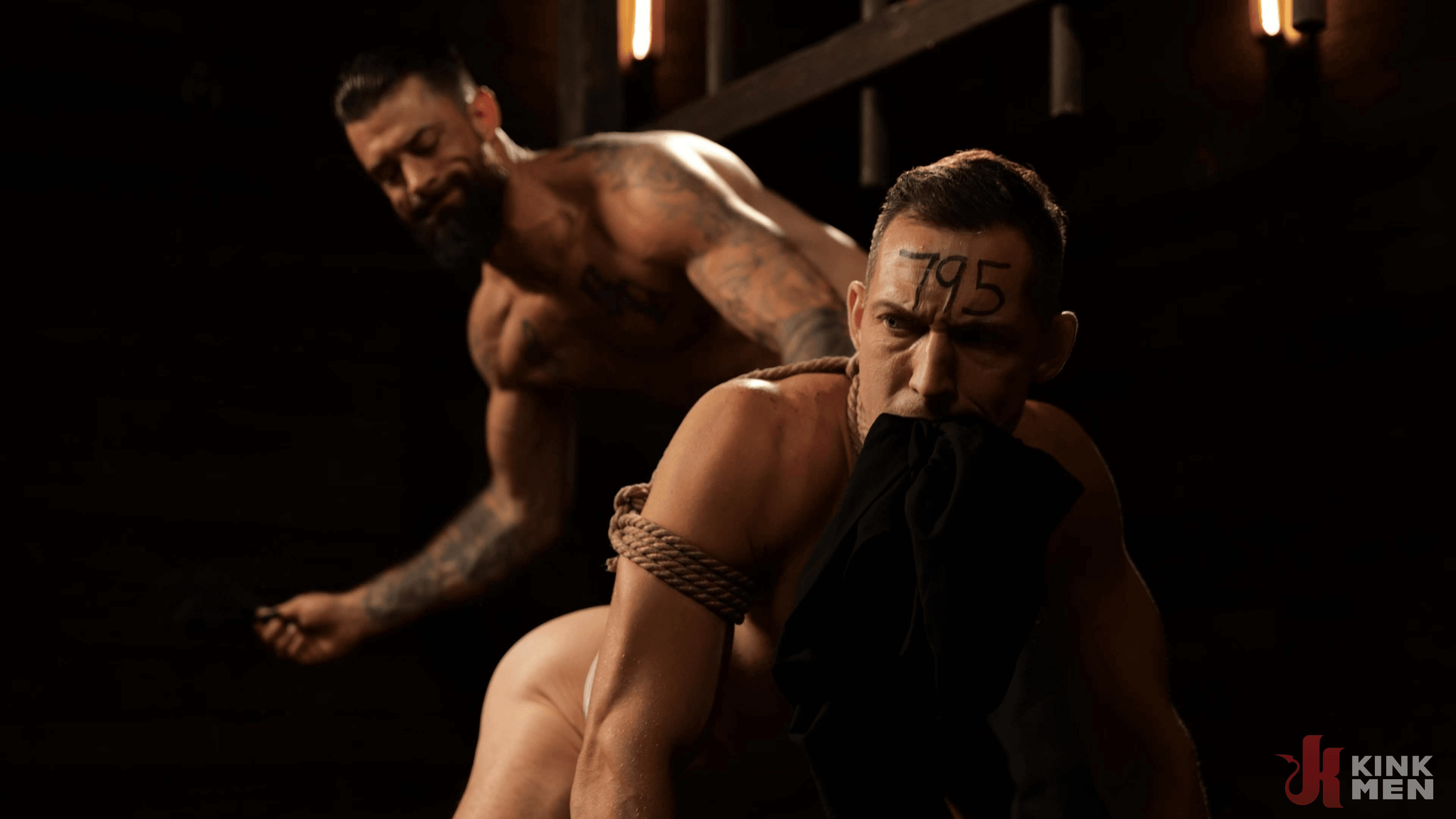 Master Alpha Wolf:New Dom To The Compound