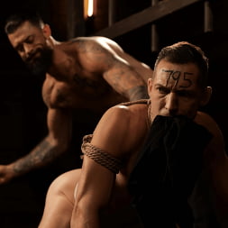 Master Alpha Wolf:New Dom To The Compound