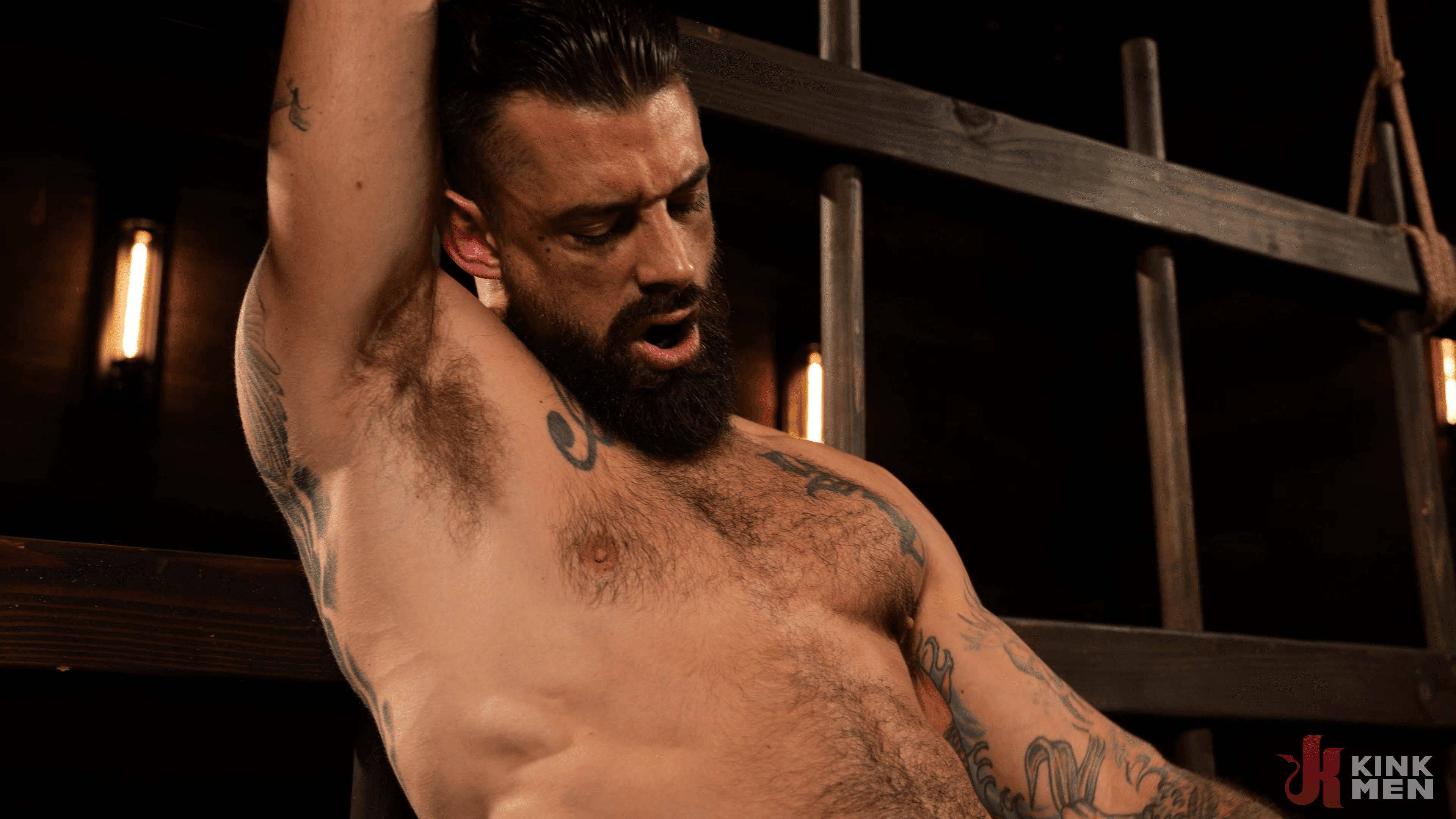 Master Alpha Wolf:New Dom To The Compound