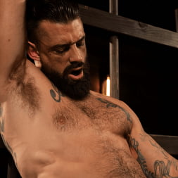 Master Alpha Wolf:New Dom To The Compound