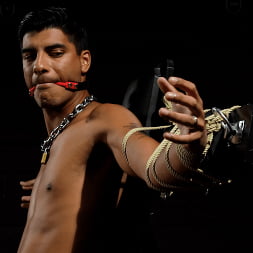 Christian Wilde and Apollo Fates: I Know What You Need