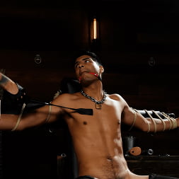 Christian Wilde and Apollo Fates: I Know What You Need