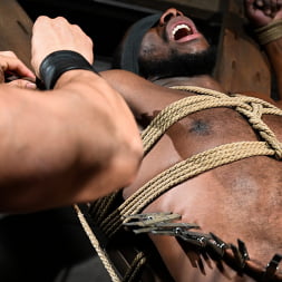 Fresh Muscle: Leather Clad Arad Winwin Punishes Newcomer Parker Payne