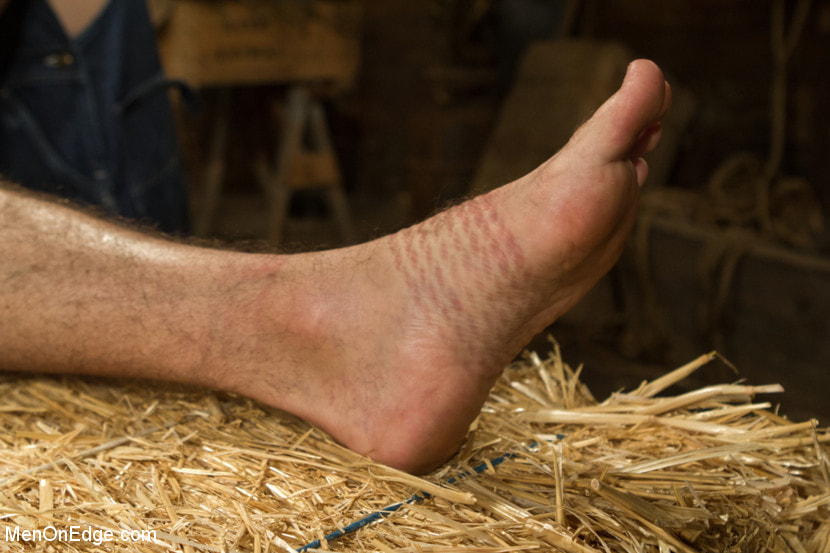 Hairy Muscle Hunk Has His Cock Edged By Two Farmers