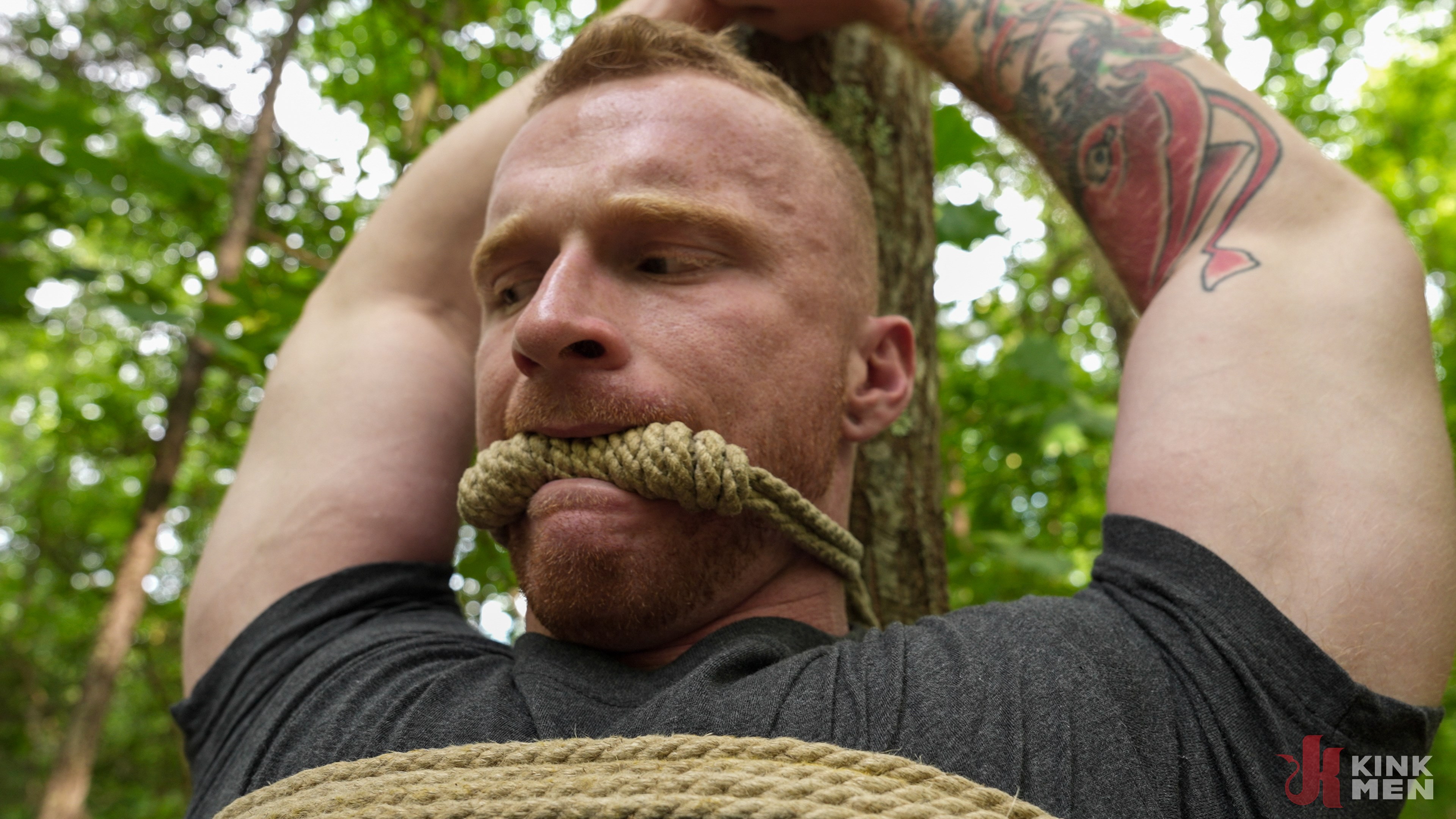 The Adventure of Brody Fox: Part Three, Victims and Predators