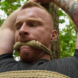 The Adventure of Brody Fox: Part Three, Victims and Predators