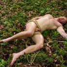 Brody Fox in 'The Adventure of Brody Fox: Part Three, Victims and Predators'