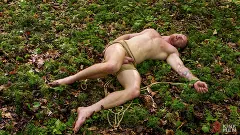 Brody Fox - The Adventure of Brody Fox: Part Three, Victims and Predators | Picture (25)
