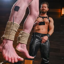 THE ELECTRO DOM