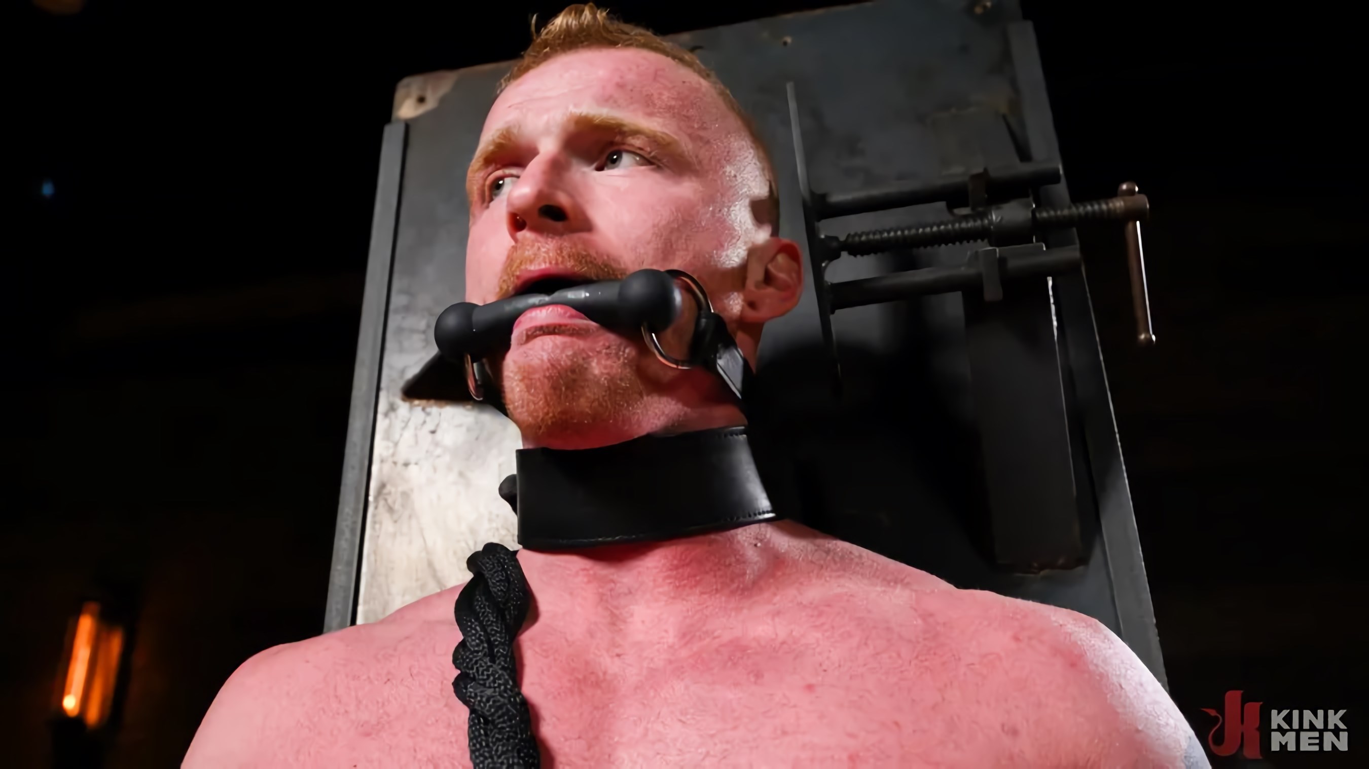 THE ELECTRO DOM