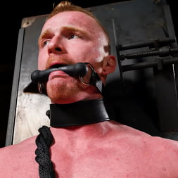 THE ELECTRO DOM