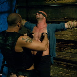 Muscle Stud and the Electric Ball Crusher