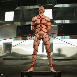 Ripped Straight Bartender
