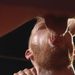 Cass Bolton's Folsom Street Fair Orgy Continues!