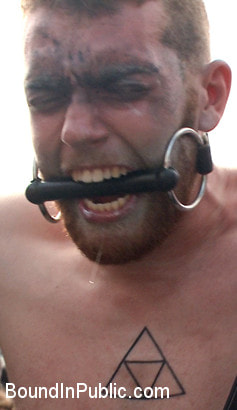 Cass Bolton's Folsom Street Fair Orgy Continues!