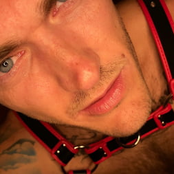 Christian Wilde: Daddy's Home