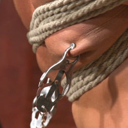 Christian Wilde's Latex Meat Locker