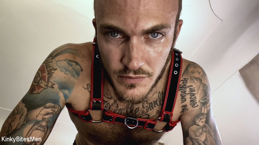 You Can't Live Without Christian Wilde's Cock