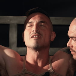 To Love, Honor and Obey
