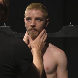 Uncut Stud Edged Beyond His Limit in Stocks